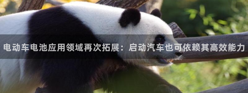 优发国际多少钱