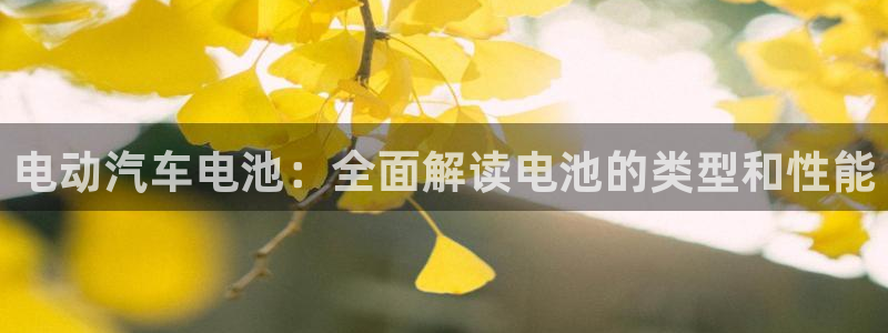 优发国际官网平台