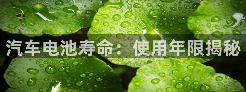 优发国际网官网17w8