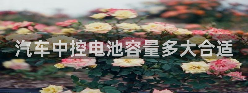 优发国际这个平台怎么样知乎
