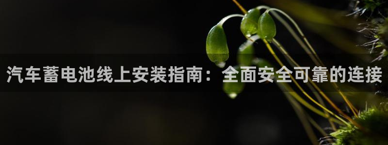 优发国际手机客户端官网下载