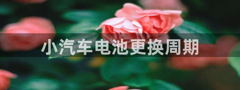 优发国际手机版客户端下载安装