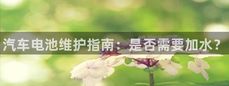 优发国际手机客户端怎么下载