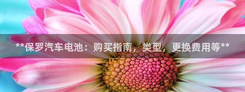 优发国际手机app下载地址