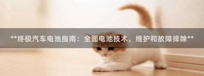 优发国际官方网
