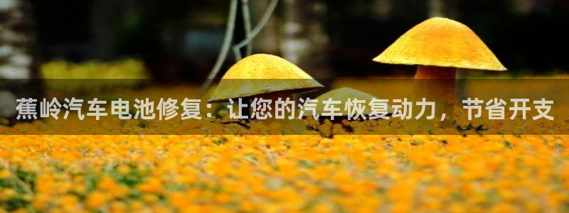 优发国际平台app下载官网