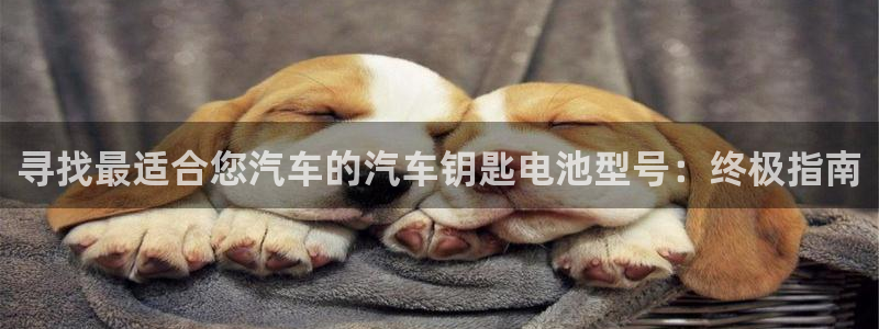 优发国际集团股份有限公司