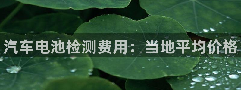 优发国际平台u8是什么软件