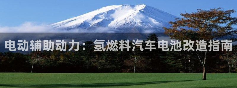 优发国际多少钱