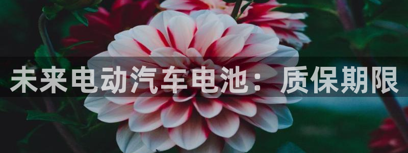 优发国际官方网手机版下载安装