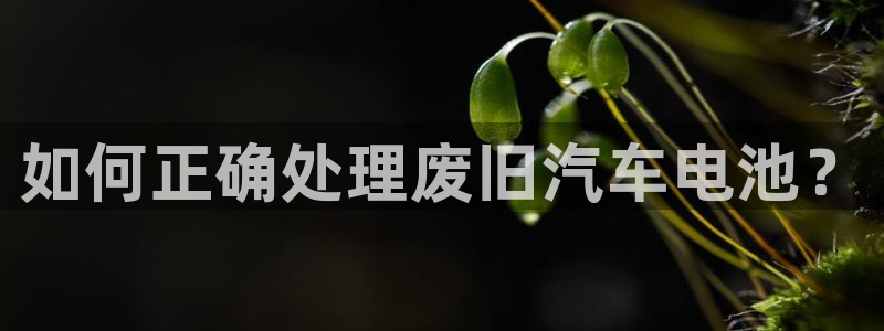 优发国际官网