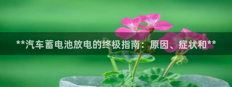 优发国际游戏17