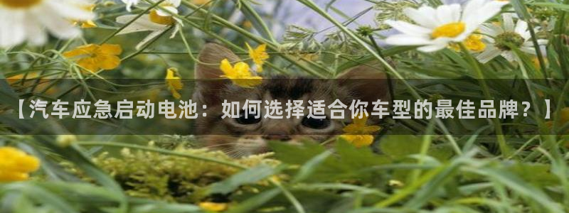优发国际手机版唯一官网下载