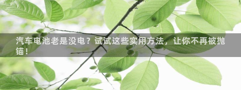 优发国际平台g8怎么样