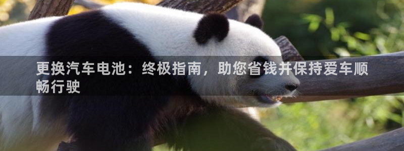 优发国际登录app：更换汽车电池：终极指南，助您省钱并保持爱车顺
畅行驶