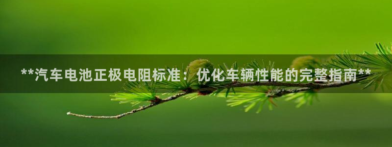 优发国际手机版唯一官网：**汽车电池正极电阻标准：优化车辆性能的完整指南**
