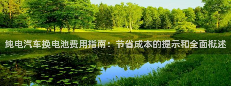 优发国际是大平台吗是真的吗：纯电汽车换电