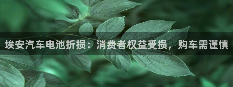 优发国际官网入口app下载苹果：埃安汽车