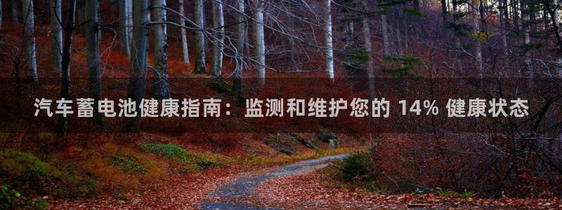 优发国际亚洲平台：汽车蓄电池健康指南：监
