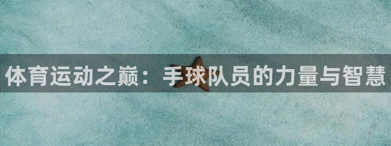 xc体育