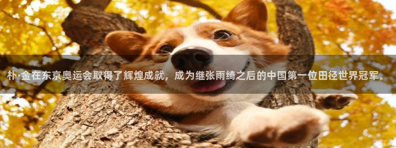 xc体育app官方网站