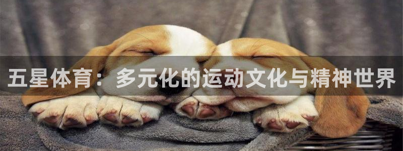xc体育app官方网站
