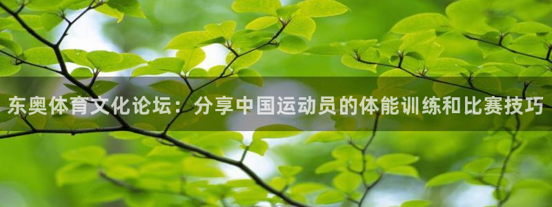 xc体育app官方网站