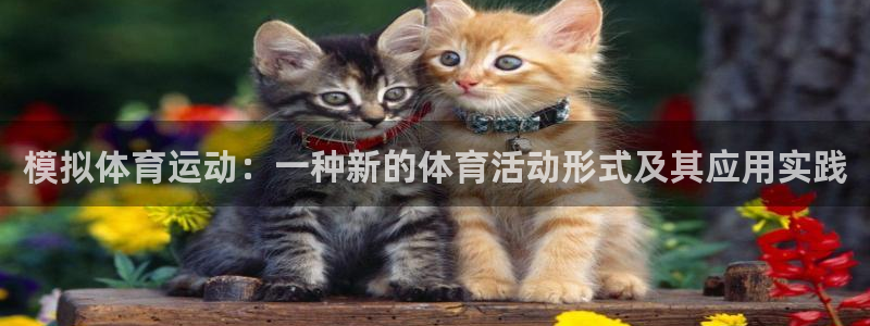 xc体育app官方网站