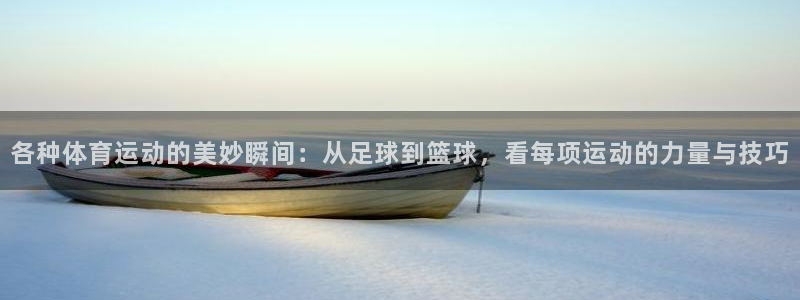 xc体育app官方网站