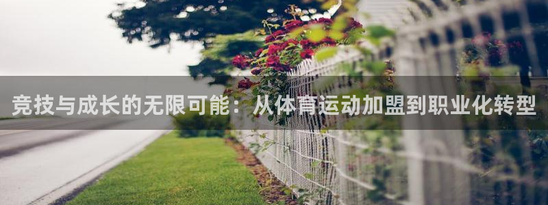 xc体育app官方网站