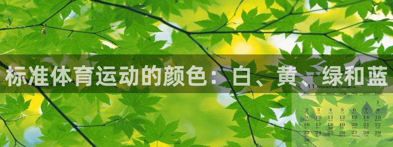xc体育