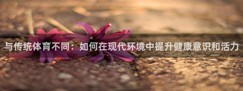 xc体育app官方网站