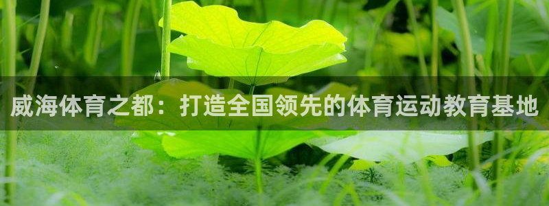 xc体育app官方网站