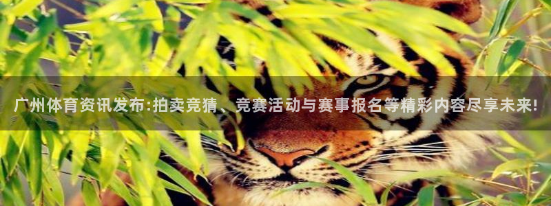 xc体育app官方网站