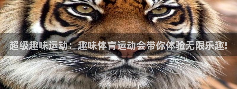 xc体育app官方网站