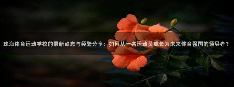 xc体育