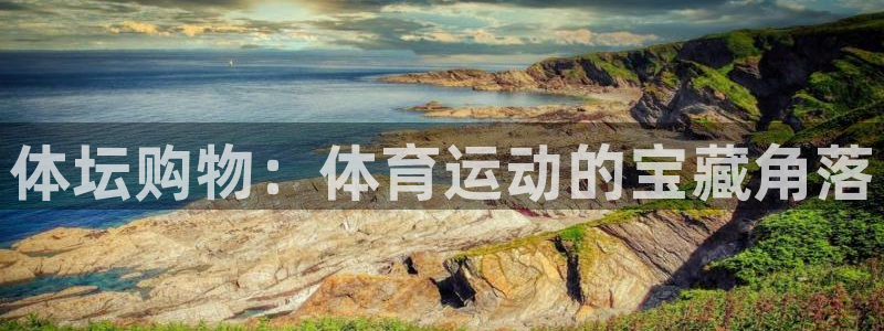 xc体育app官方网站
