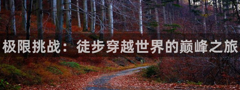 xc体育