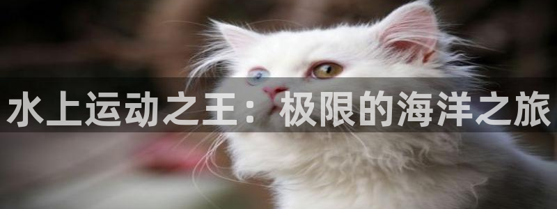 xc体育app官方网站