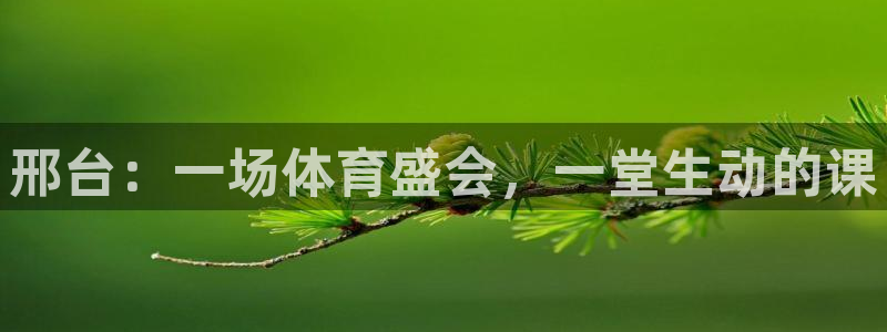 xc体育