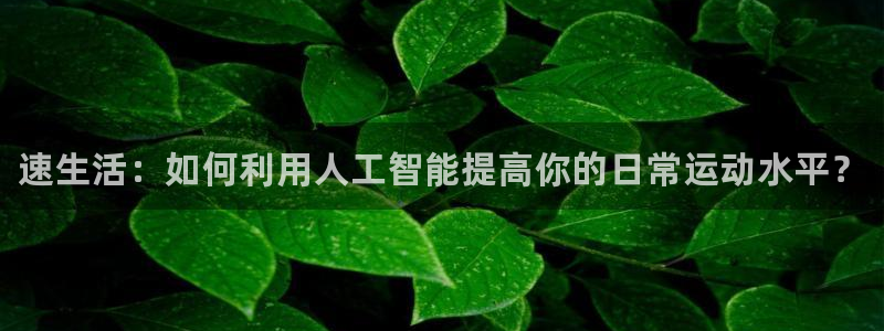 xc体育