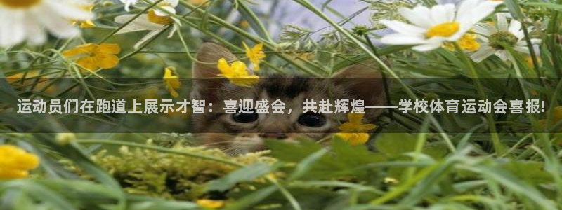 xc体育app官方网站