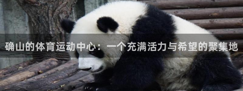 xc体育app官方网站