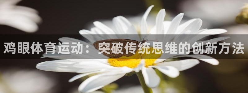 xc体育app官方网站