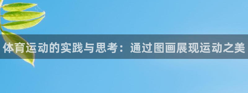 xc体育app官方网站