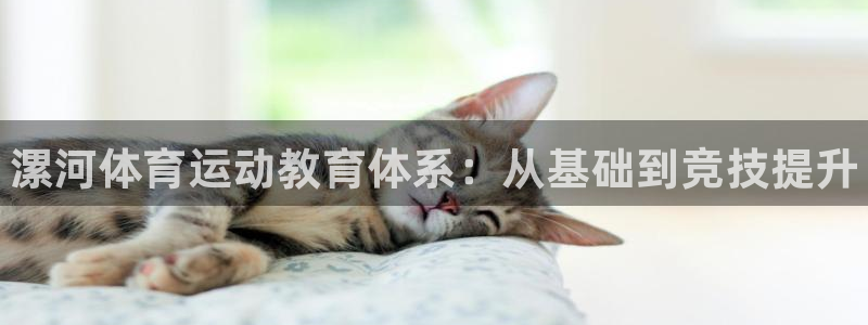 xc体育