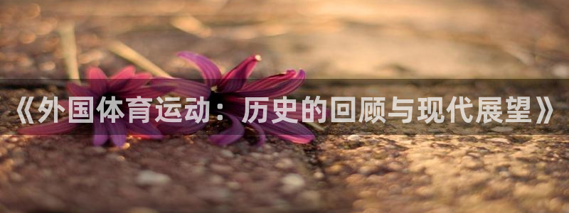 xc体育app官方网站