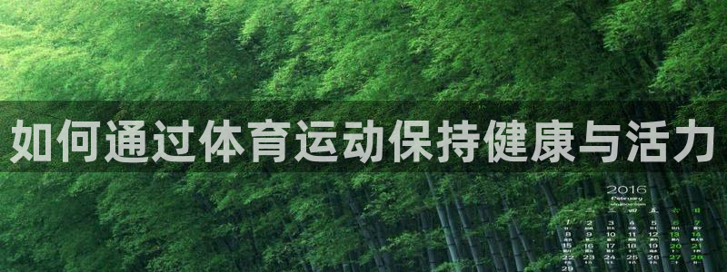 xc体育app官方网站