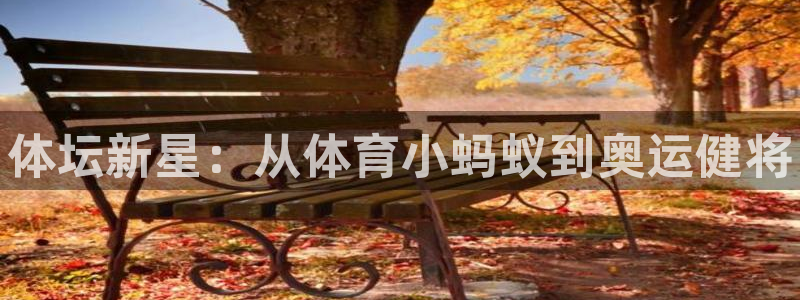 xc体育