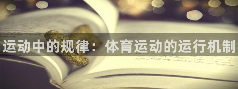 xc体育